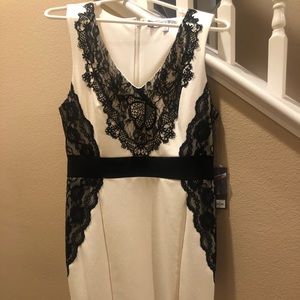 Jennifer Lopez cream and black cocktail dress